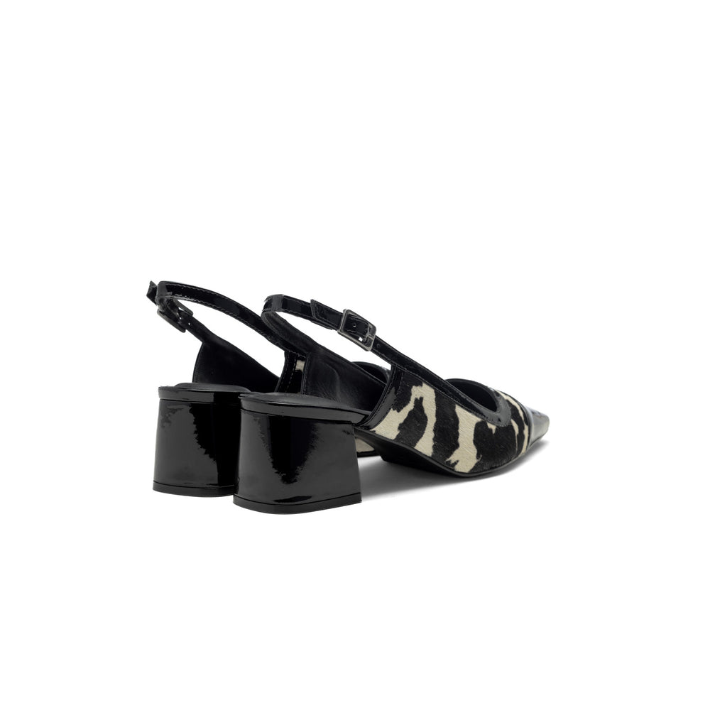 collection_img