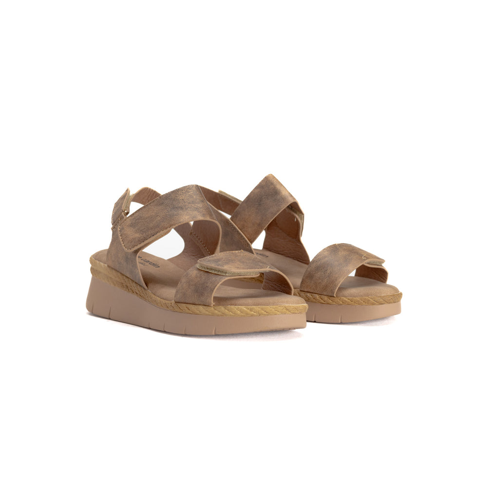 Pierre Cardin - Pcl10616 - Taupe