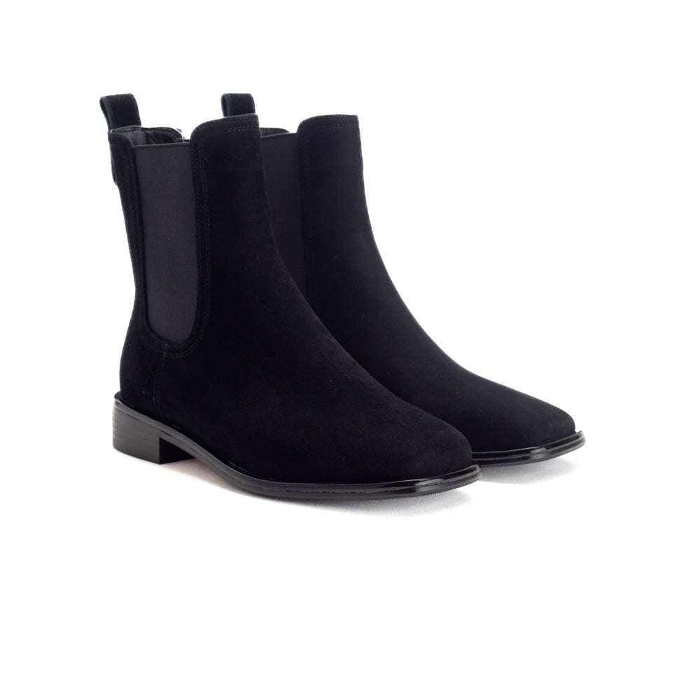 Bulbul - Lar26-1 - Black