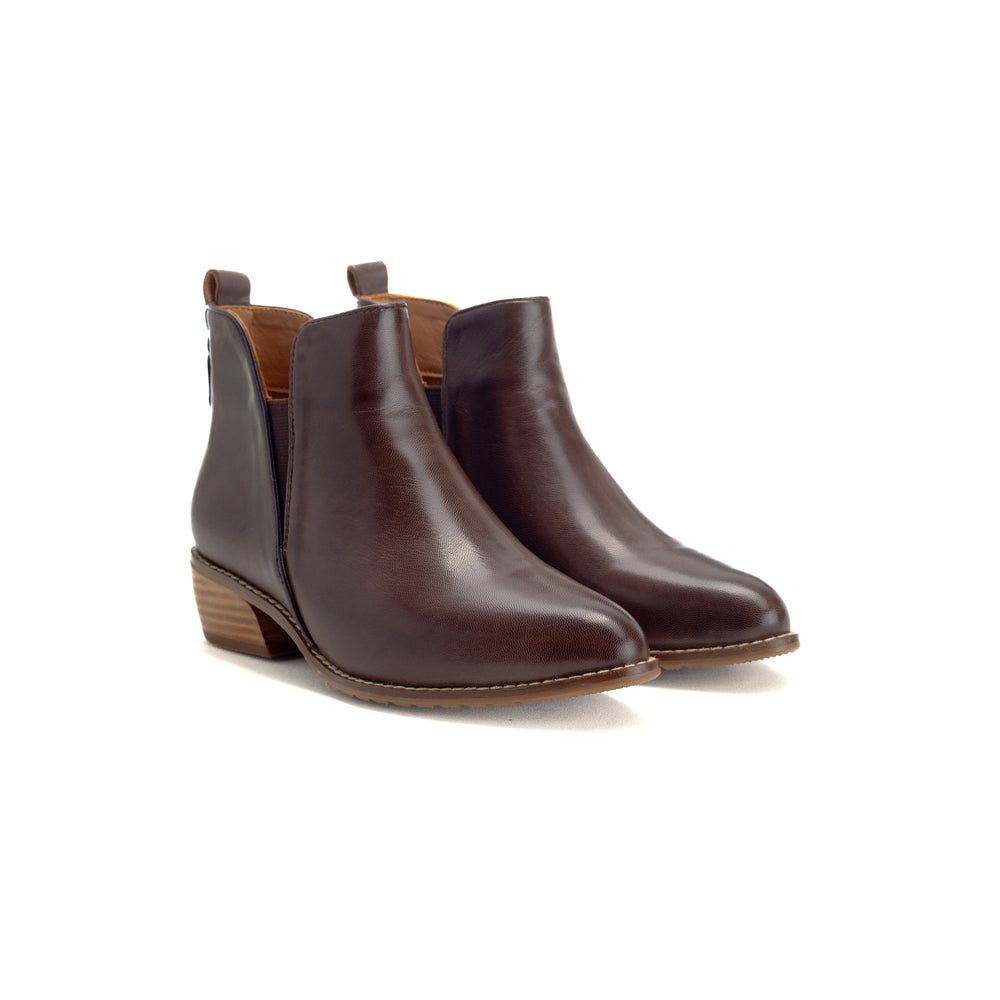 Bulbul - Lsf07 - Brown