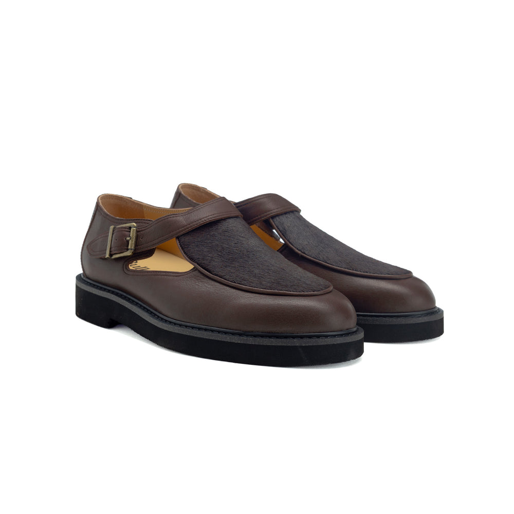 Bulletti - Stallion - Brown