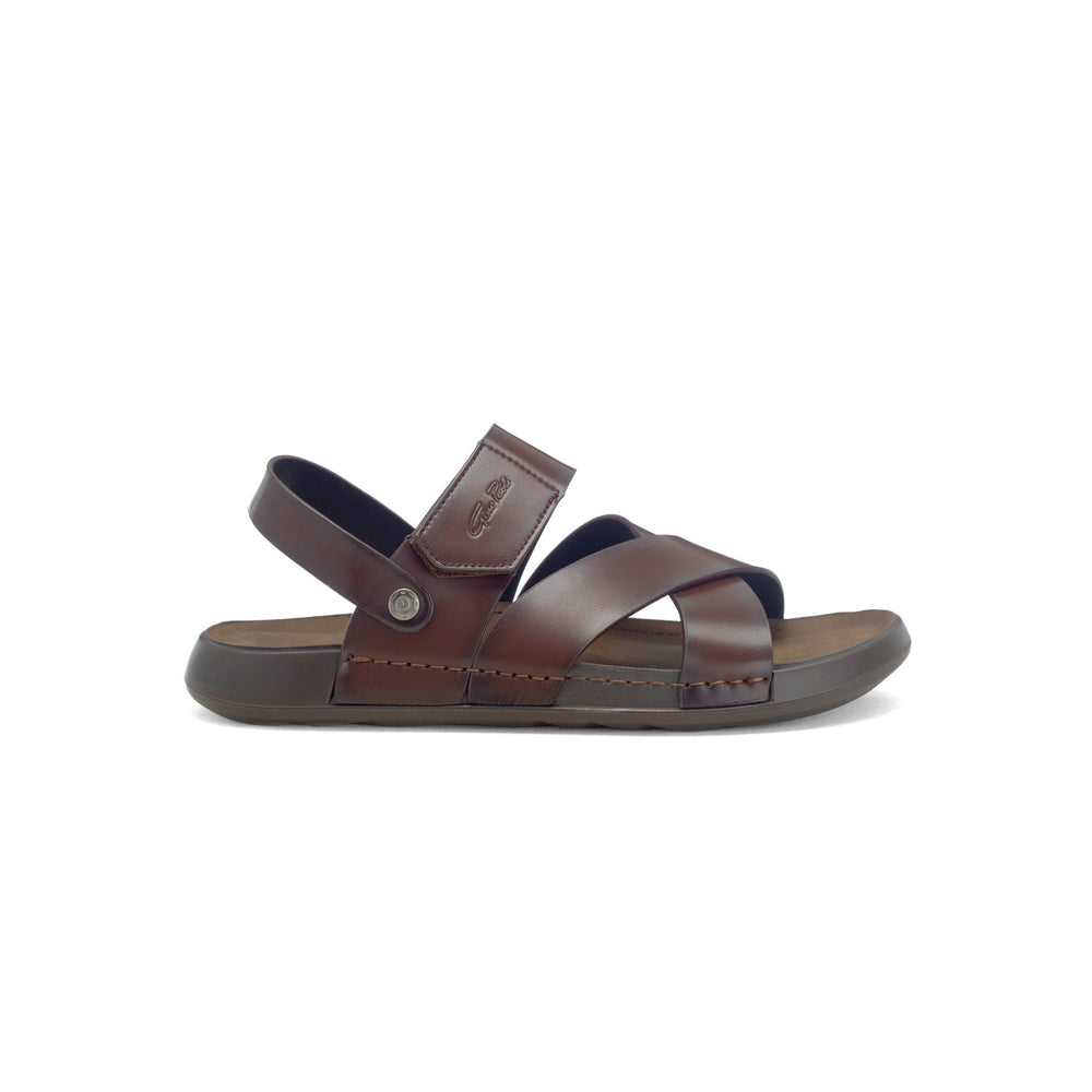 Gino Pauli - Struthers - Brown