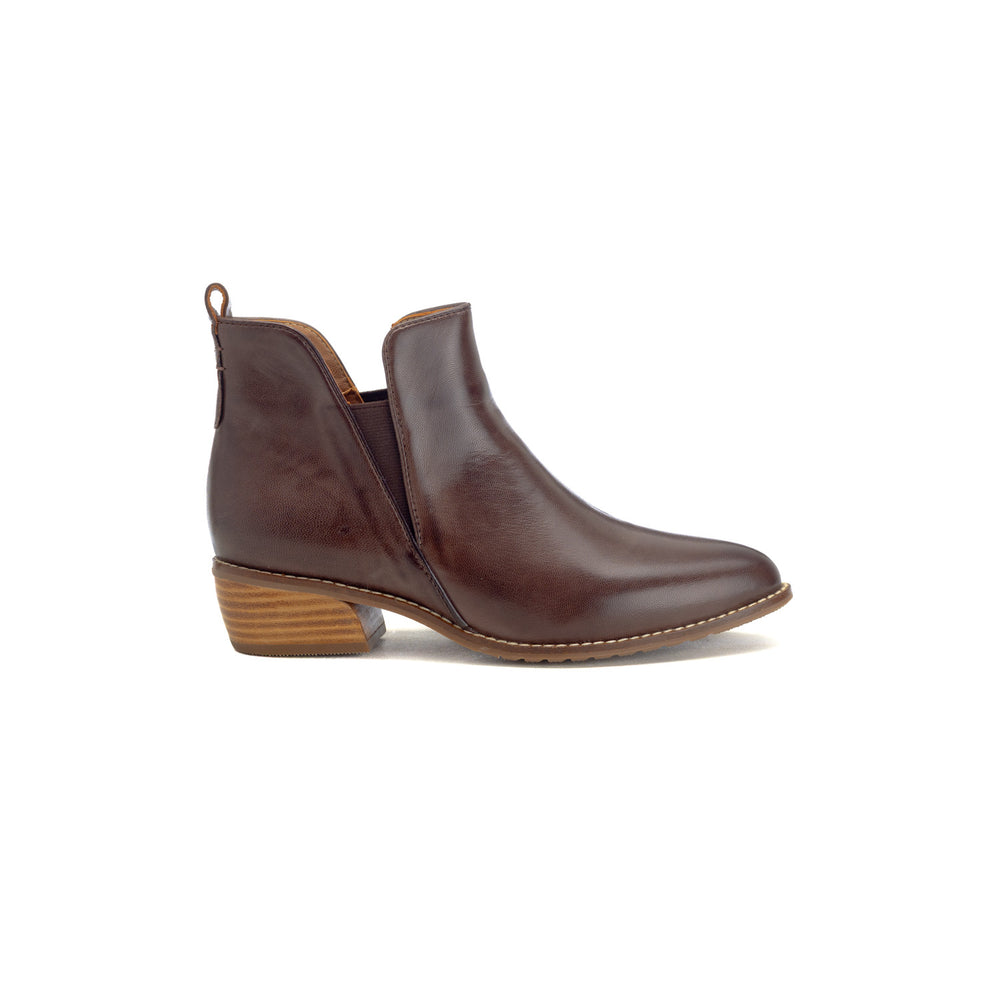 Bulbul - Lsf07 - Brown