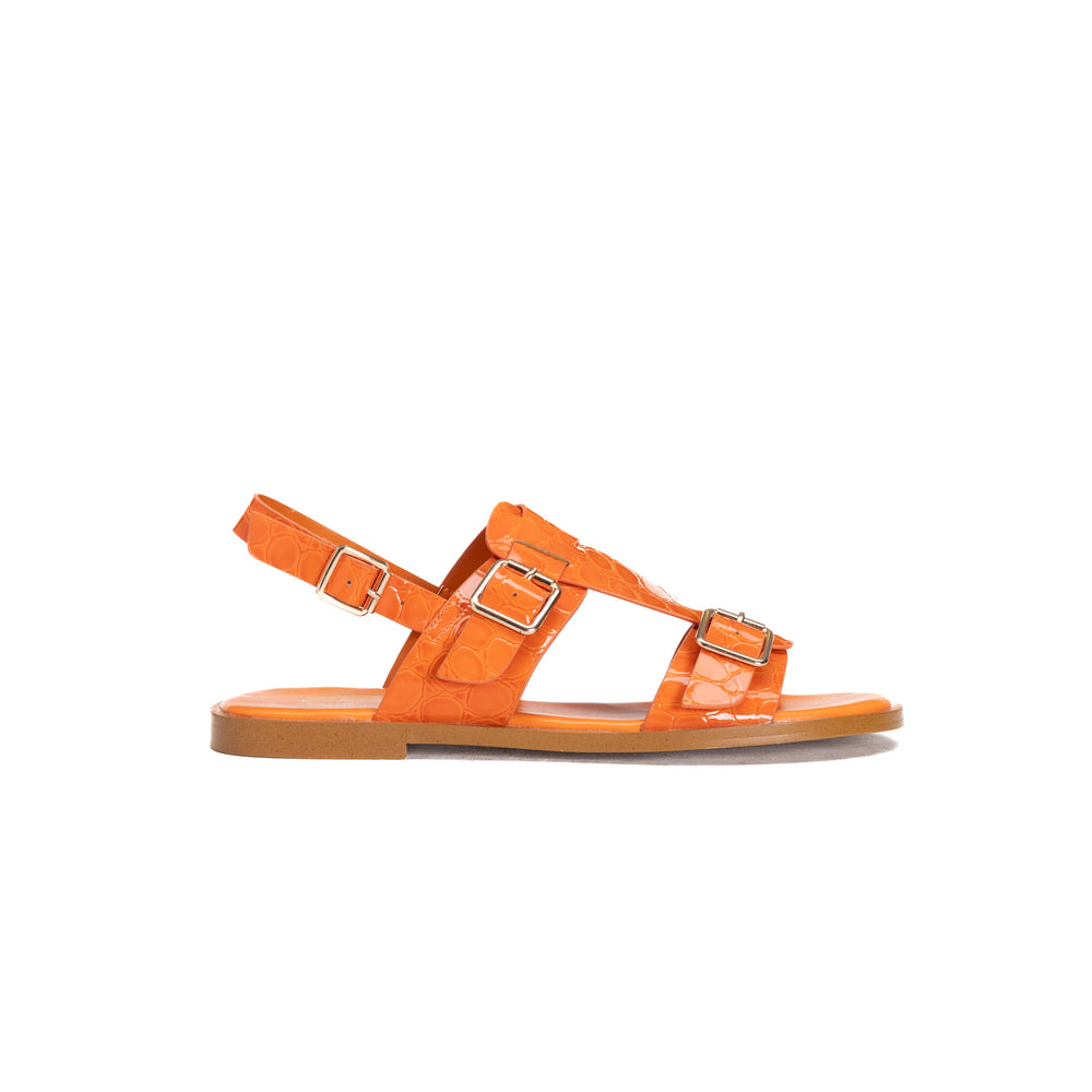 Bulbul - Car5005 - Orange