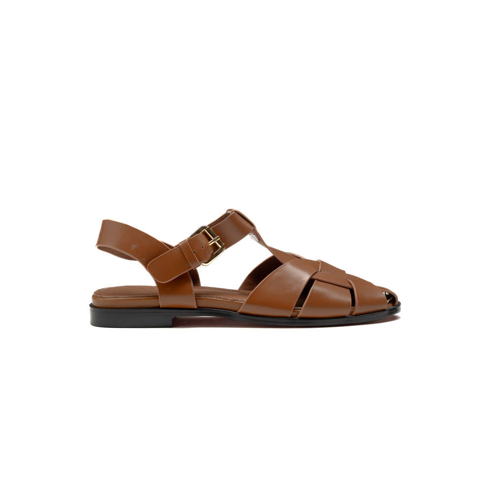 Bulbul - Lar03 - Camel