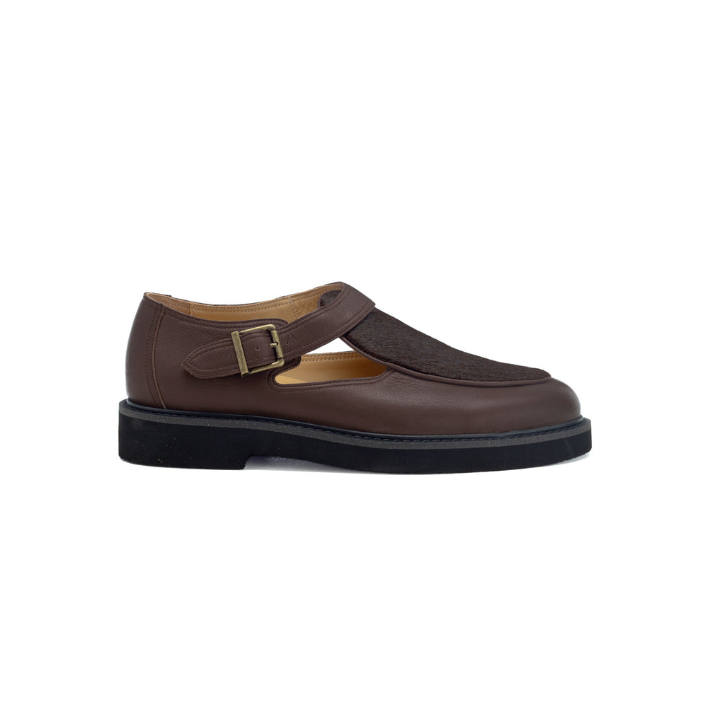 Bulletti - Stallion - Brown