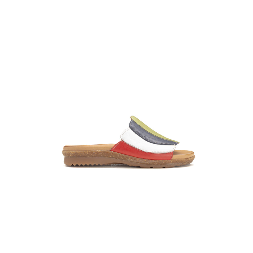 Dimato - 8421 - Multi