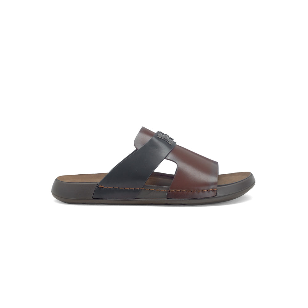 Gino Pauli - Amerigo - Brown
